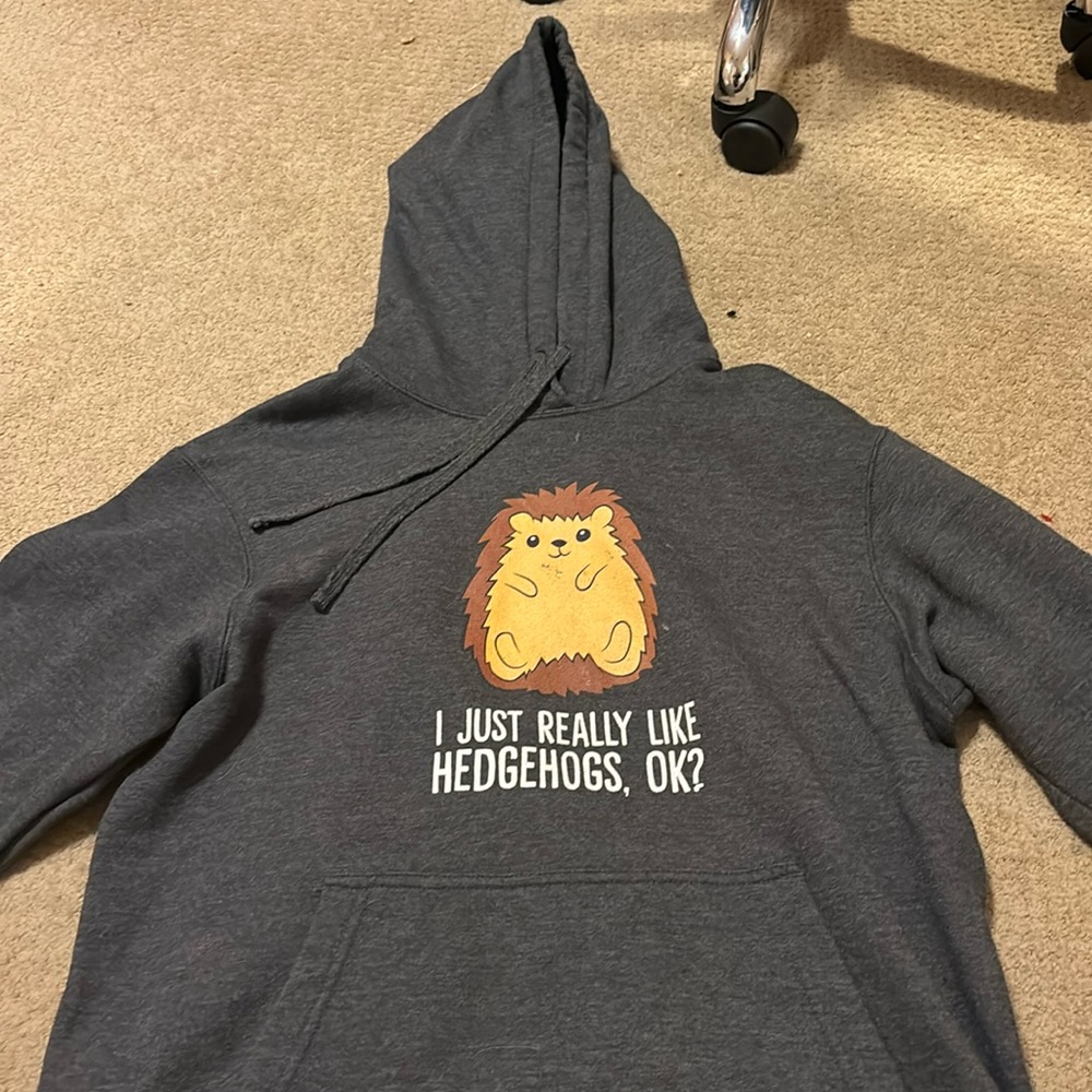 grey hedgehog hoodie